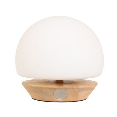 Mijan Solid Wood Novelty Lamp