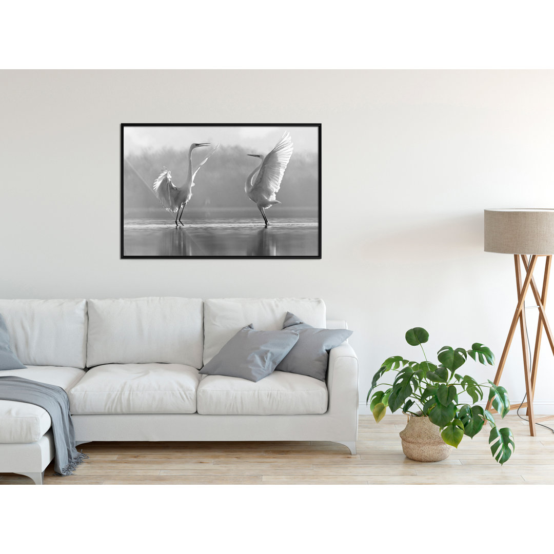 Gerahmtes Poster Black and White Herons