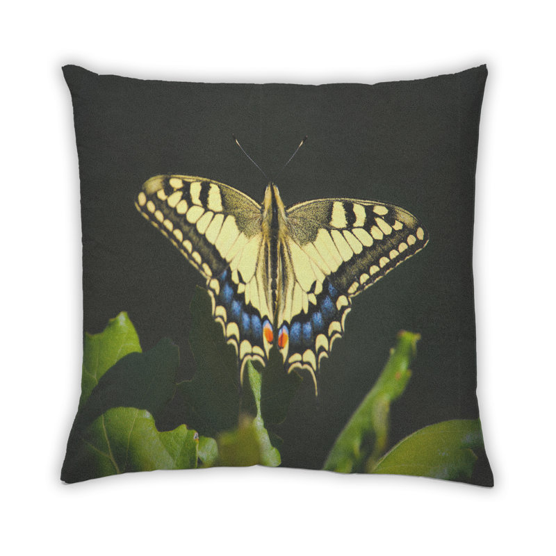 Throw Pillow, Microsuede