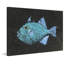 « triggerfish » par warren, les vendeurs, reproduction d’art sur toile tendue-19067441