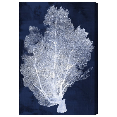 Coral Fan Cyanotype 2 by Oliver Gal - Graphic Art on Canvas