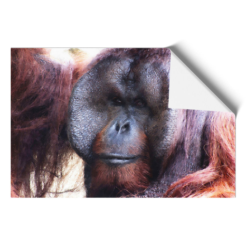 Orangutan Monkey Painting - Frameless Print, 21cm H x 30cm W x 0.1cm D