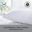 Sealy Side Sleeper Fibre Medium Support Pillow