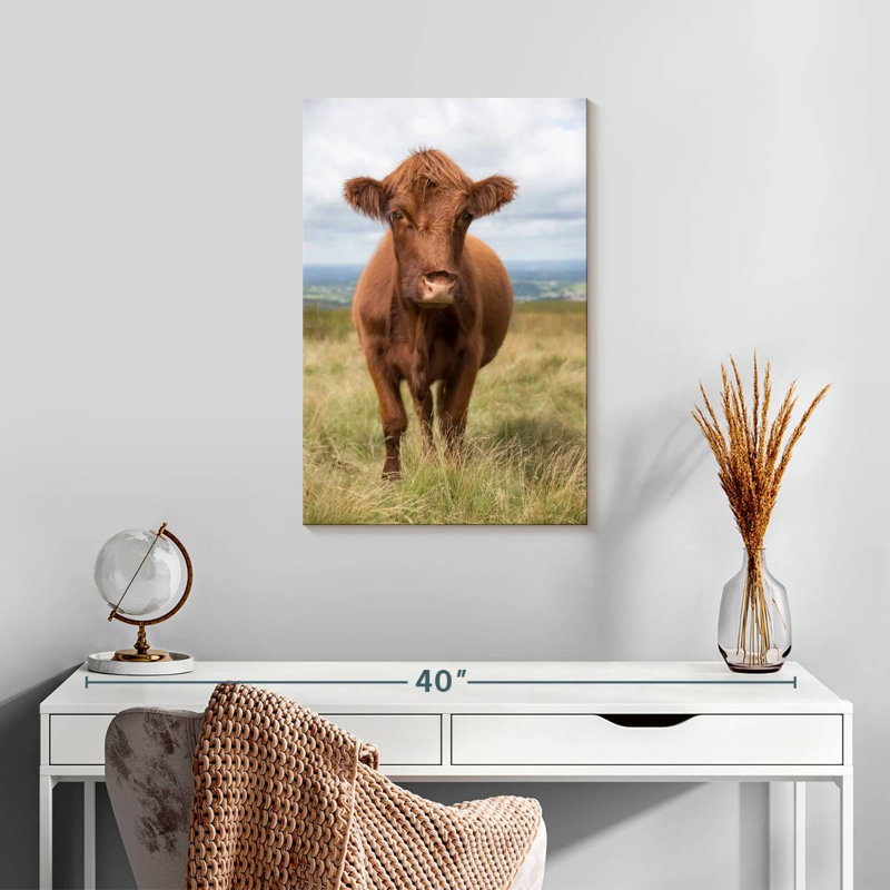 Vache de campagne anglaise brun Brampt, H 24 po x l 16 po