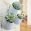 Pot de fleurs mural en plastique-734562131-734562130