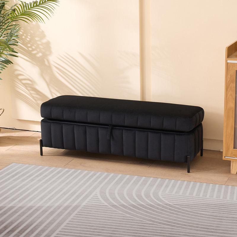 Banc de rangement rembourré en velours avec pieds en métal, idéal pour le salon, Noir