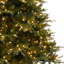 Arbre de Noël traditionnel avec lumières, arbre de Noël avec lumières colorées et contrôleur-1598773914