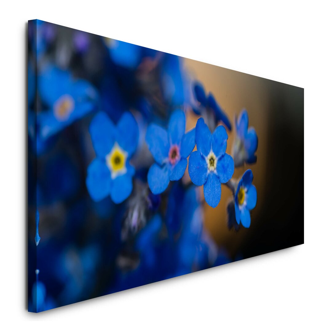 Leinwandbild Blaue Blumen