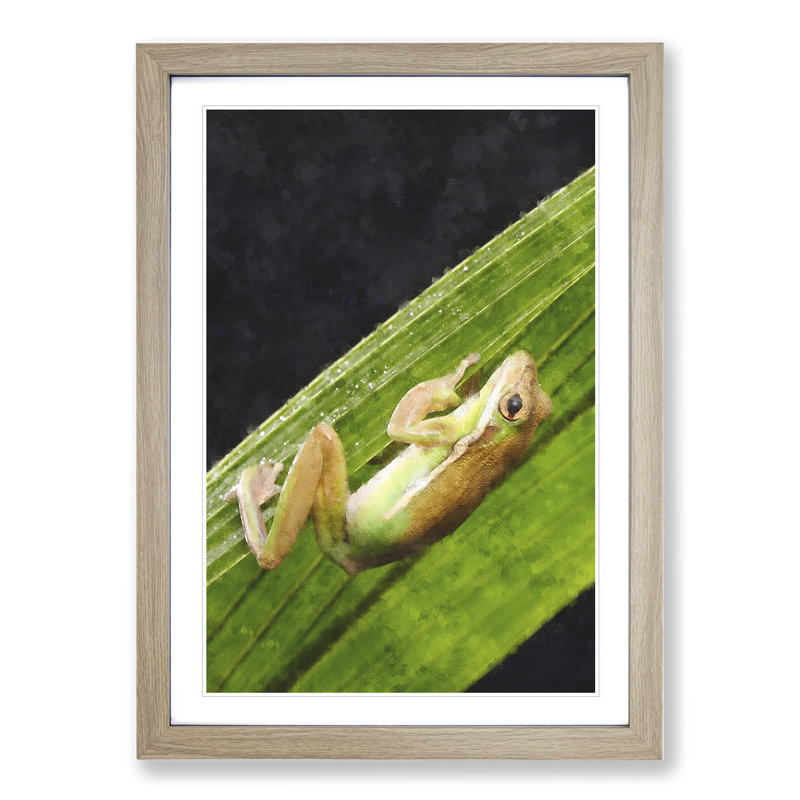 Frog Vol.1 - Framed Print, Oak Framed, 36cm H x 27cm W x 2cm D