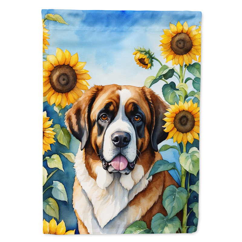 Lévrier irlandais dans le drapeau du jardin de tournesols, Saint-Bernard