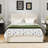 Brezzy Upholstered Storage Bed with Wingback-1856276996-1856277003