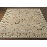 Biscayne Wool Oriental Area Rug