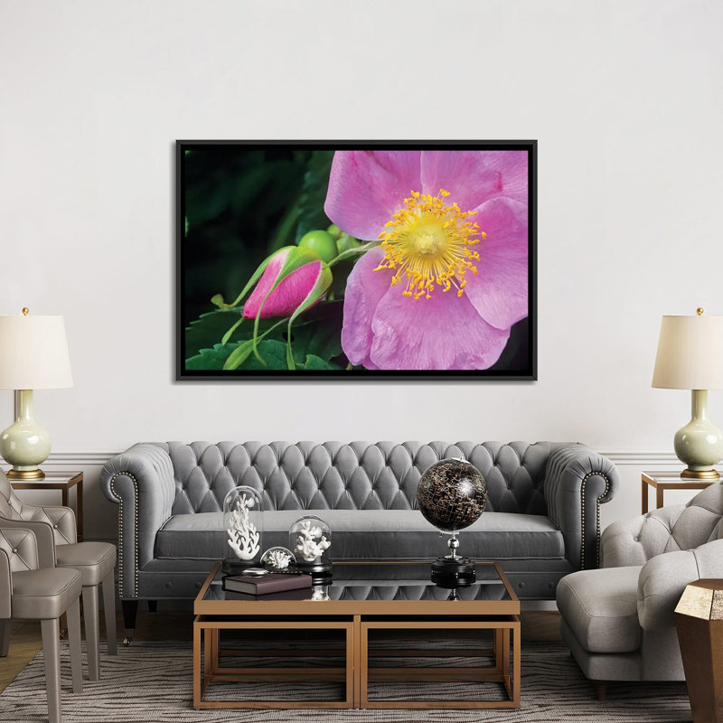 « rose fleur, british columbia, canada », reproduction de photo sur toile, H 18 po x l 26 po x P 1,5 po, Pas de tapis
