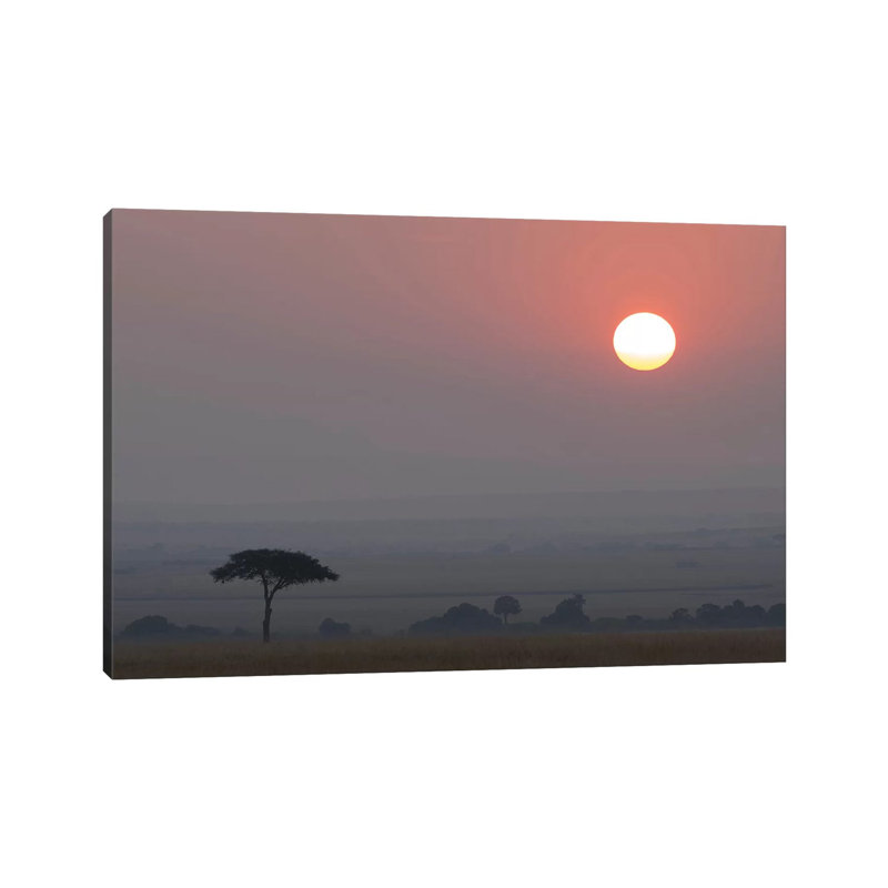 Africa, Tanzania, Ngorongoro Conservation Area. Savannah At Sunset. - Wrapped Canvas Print
