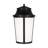 Portola Large Lantern from Generation Lighting -116119603-116119601