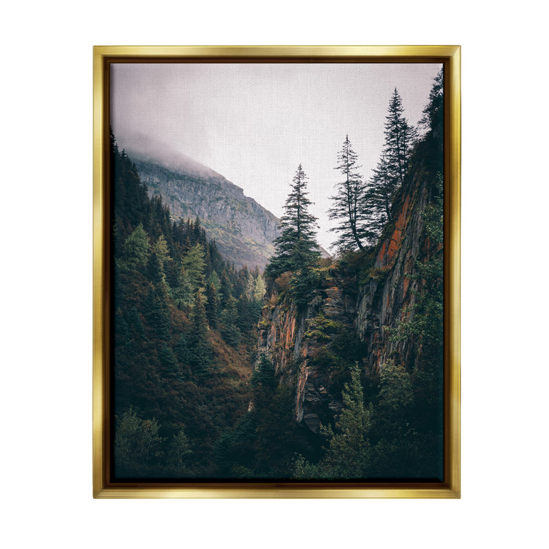 Bb-107-Floater Rustic Mountain Landscape, reproduction d'art sur toile, Cadre flottant métallique doré