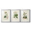 Antique Turpin Botanical I - reproduction sur mesure encadrée de qualité supérieure - 3 pièces-1401767997-1401767969