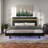 Clemson Platform Bed With Underbed Lighting-108258833-108258835
