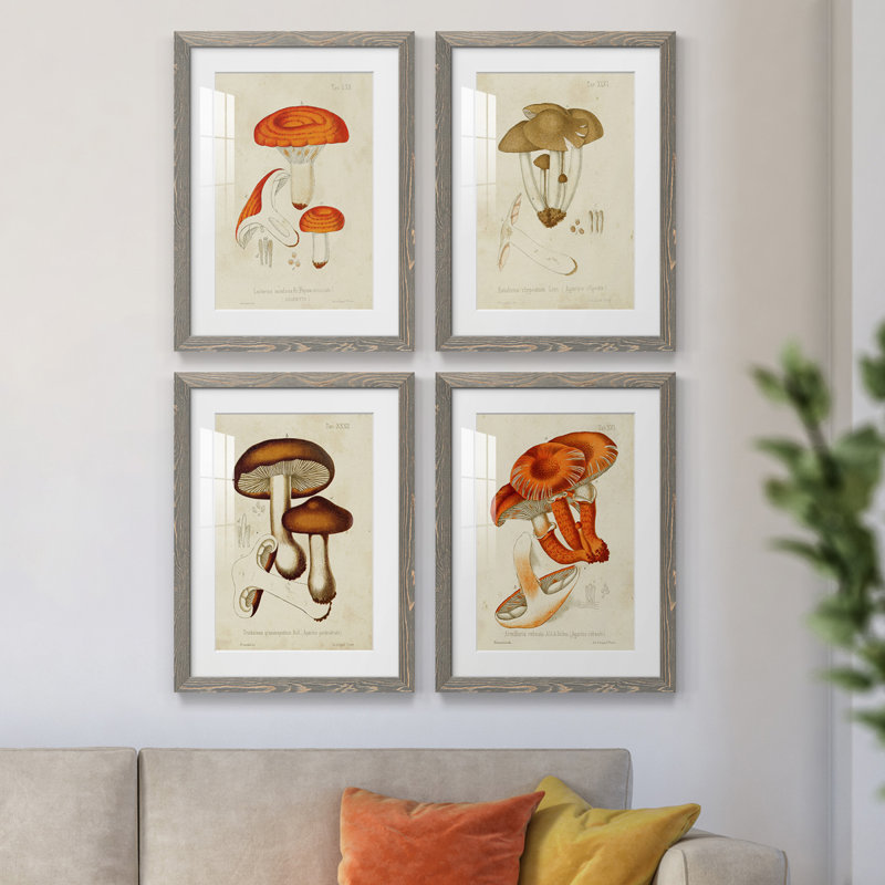 Champignon Variétés, H 37,5 po x l 110 po x P 1,5 po, Cadre gris