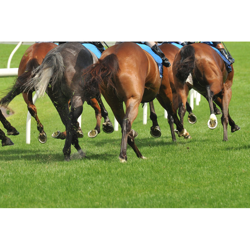 Horse Racing Action - Wrapped Canvas Print, 51cm H x 76cm W