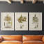 Fern Botanical I - Ensemble de 3 peintures sur toiles encadrées-772660942-772660939
