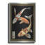  «Koi Fish On Black 1» par Chariklia Zarris, art mural en métal, 12 po x 16 po-1034456896