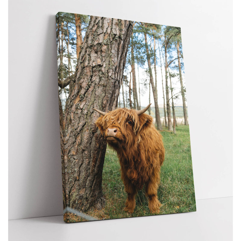 Cute highland cow by tree Canvas Wall Art Print Picture, 60.96cm H x 40.64cm W