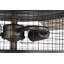 Ventilateur de plafond cage à 20 pales de 20 po avec télécommande et ensemble d'éclairage inclus-993148316