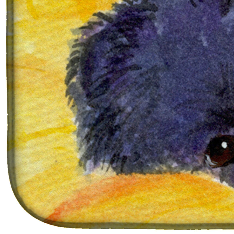 Tapis de séchage poméranie