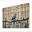 Oiseau monochrome gris-gris dans la forêt I sur bois-409432914