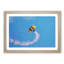 Skydiving in Abstract - Picture Frame Graphic Art Print-55739812-55739813
