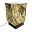 LED Table Lamp