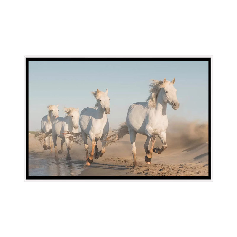 White Angels Of Camargue XXXVII by Daniel Kordan - Print on Canvas, 152.5 cm H x 101.5 cm W, White Framed