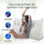 Triangular Backrest Cushion-1813419946-1826744204