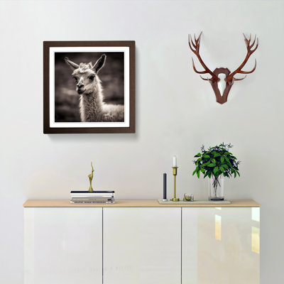 Llama Photograph - Single Picture Frame Print on Wood