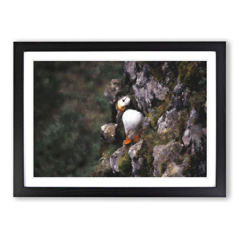 Atlantic Puffin Birds Vol.1 - Picture Frame Painting, 48cm H x 65cm W x 2cm D, Black Framed