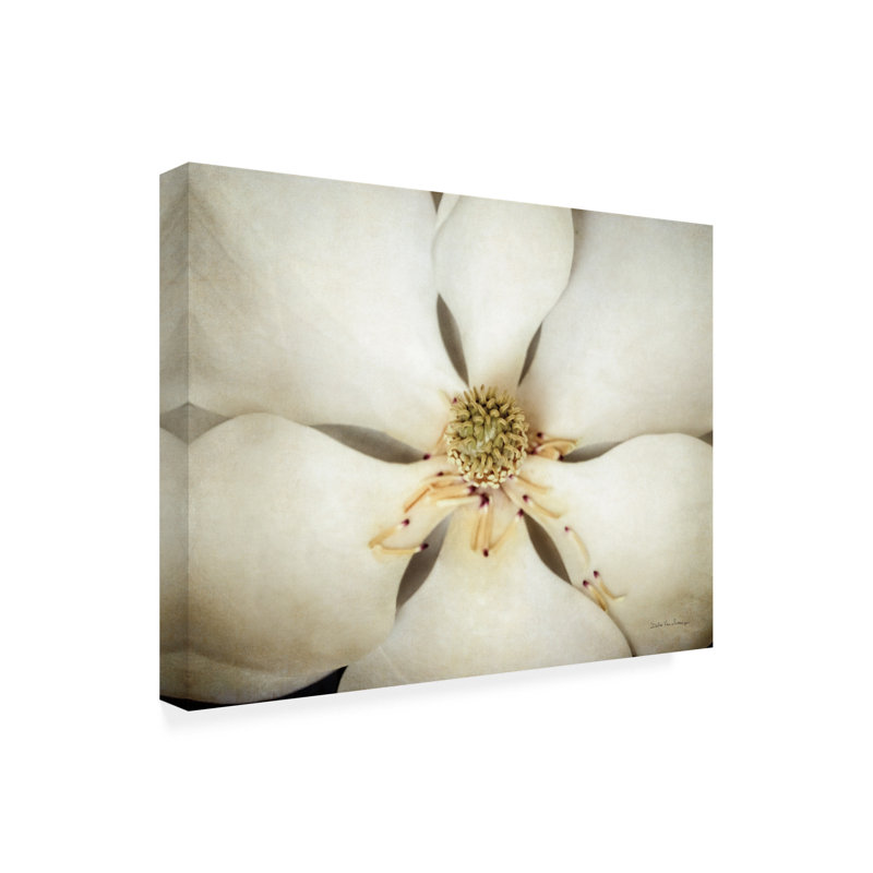 Œuvre d'art sur toile «bolle Debra Van Swearingen Magnolia», H 14 po x l 19 po
