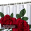 Rideau de douche avec 12 crochets-1932155719