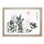 Leaves & Flowers by Shen Zhou - Picture Frame Painting Print-55581842-55581841
