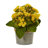 Kalanchoe Artificial Plants Set of Three