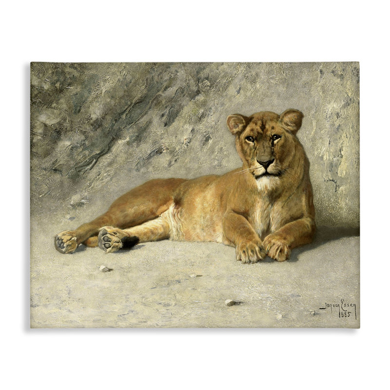 Art mural protecteur sur toile "Lion sauvage" par Jan Van Essen, H 16 po x l 20 po