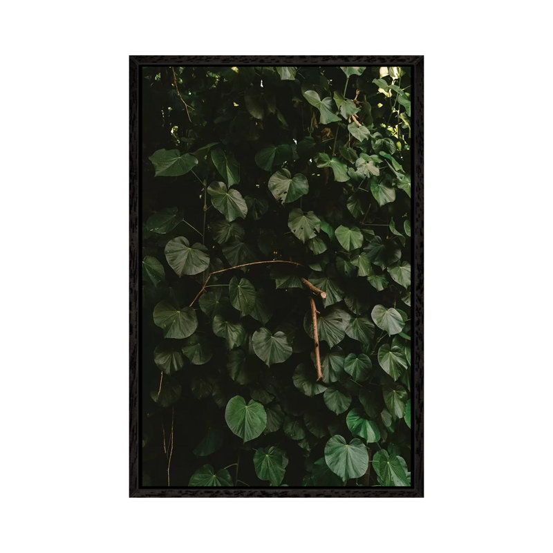 Tropical Hawaii III by Bethany Young - Print on Canvas, Black Framed, 66.04cm H x 45.72cm W x 3.81cm D