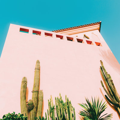 Pink Wall with Cactus 1 Piece Wrapped Canvas Wall Art