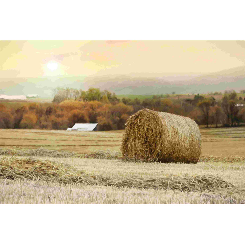 Golden Country Sunrise 2884575, H 12 po x l 18 po