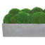 Nature's Nostalgia Moss Plant in Fiberstone Planter-1850721373-1824800356
