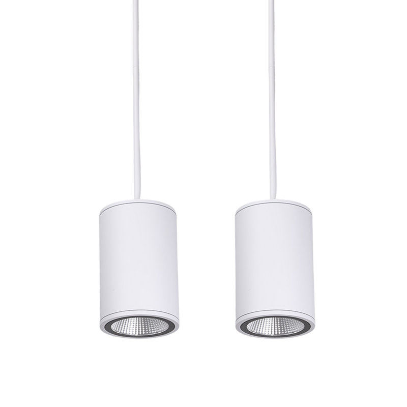 5cct Led 6 Inch Commercial Pendant Light, 120-277v, Dimmable, 3 Power Options, Ip65 Waterproof, Cri90, White