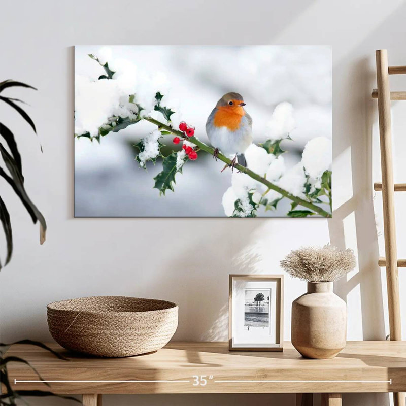 Winter Robin Songbird