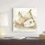 «White Pear Study I» par Ethan Harper, reproduction d'art mixte résistant aux rayons UV-1211128577-1248587151-1317666638