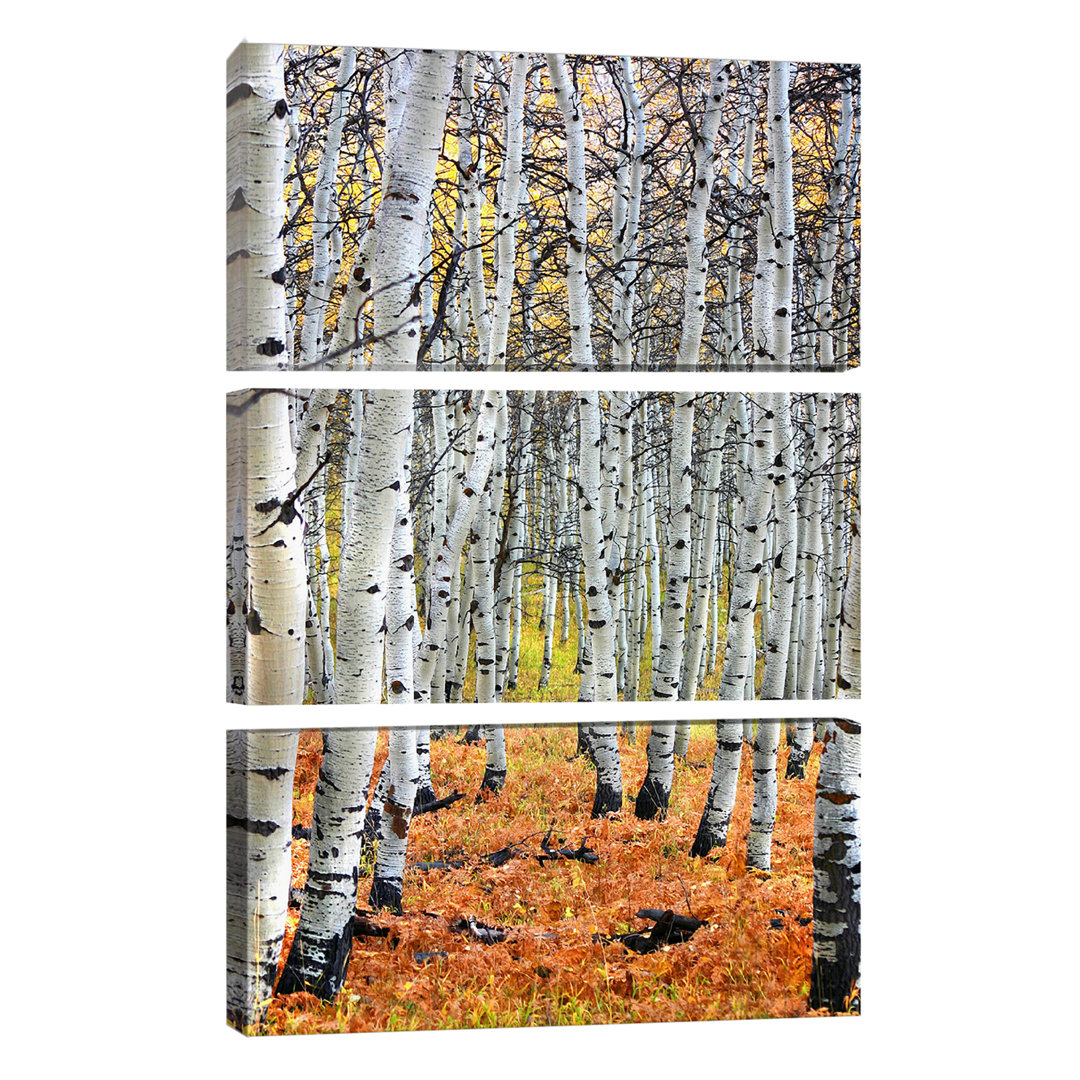 'Autumn in Aspen' Photograph Multi-Piece Image on Wapped Canvas