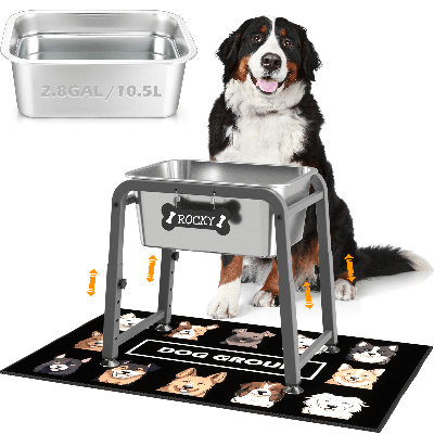 2.8 GAL Elevated Dog Water Bowl,Height Adjustable (10.4–15.2") Raised Dog bowl stand with Stainless Steel Bowl & Mat